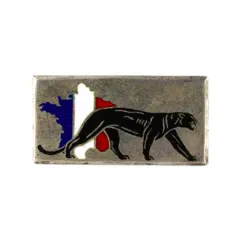 insigne croiseur Emile Bertin
