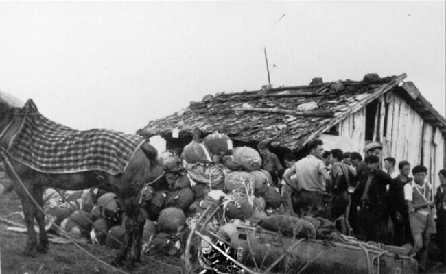 1er août 1944, Opération Buick sur le plateau des Glières : rassemblement des parachutes sommairement remis dans leur sac. Une Mule tire un traineau avec deux containers (300 à 400 Kg) (Photo Raymond Perillat, association des Glières)